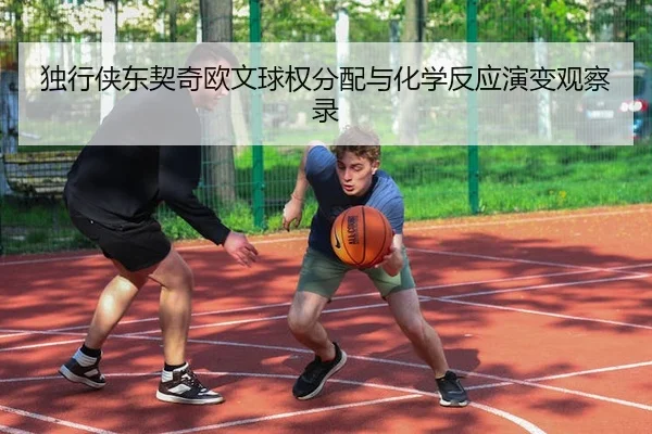 独行侠东契奇欧文球权分配与化学反应演变观察录